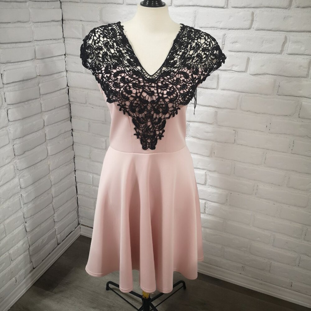NWT Scarlet B Dorothy Perkins Ladies Size 14 Blush & Black Fit & Flare Dress
